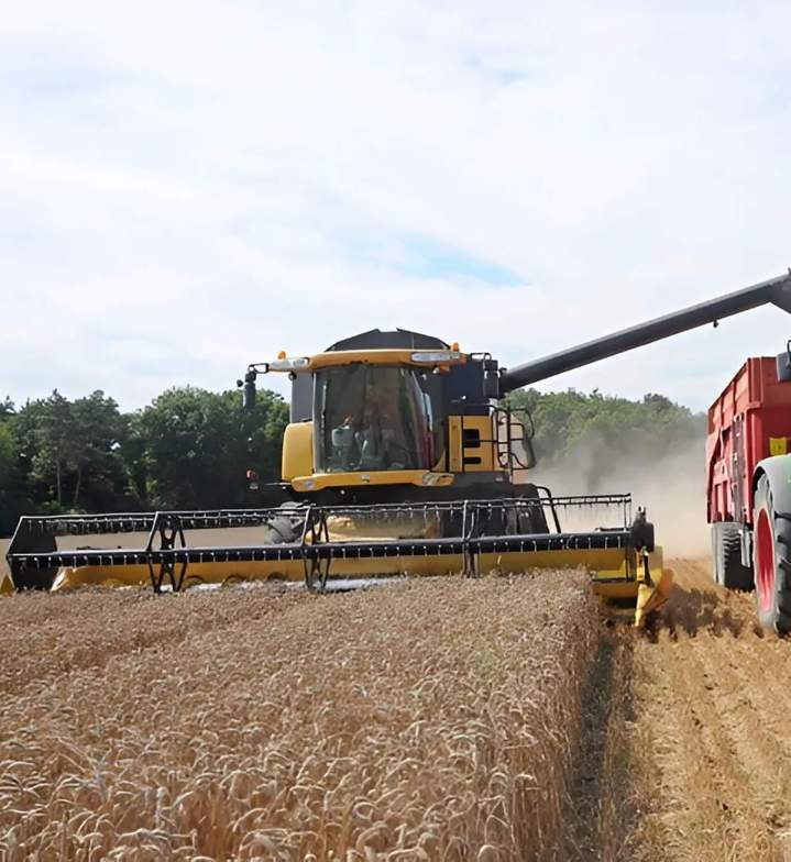 Exploitation agricole, Colombey-les-Deux-Églises