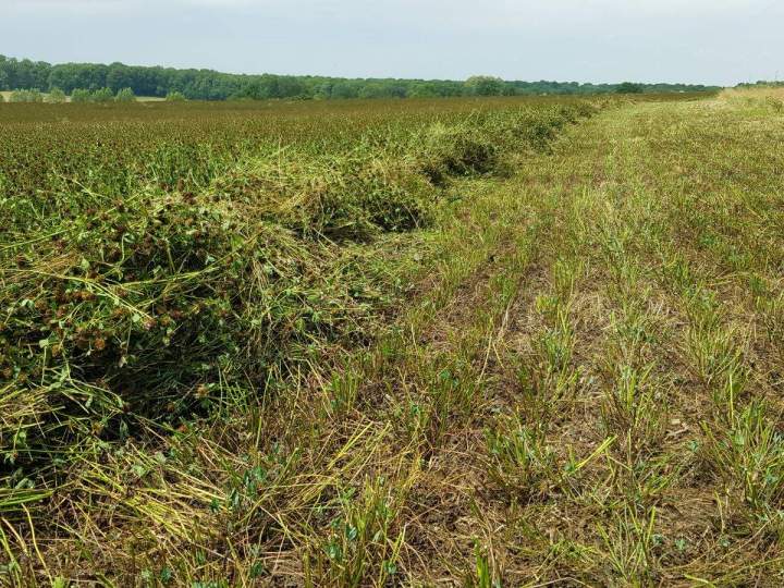 Réalisation de semis direct Bar-sur-Aube