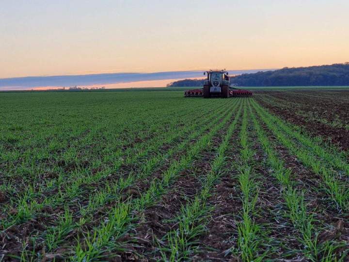 Fournisseur de couverts végétaux Bar-sur-Aube