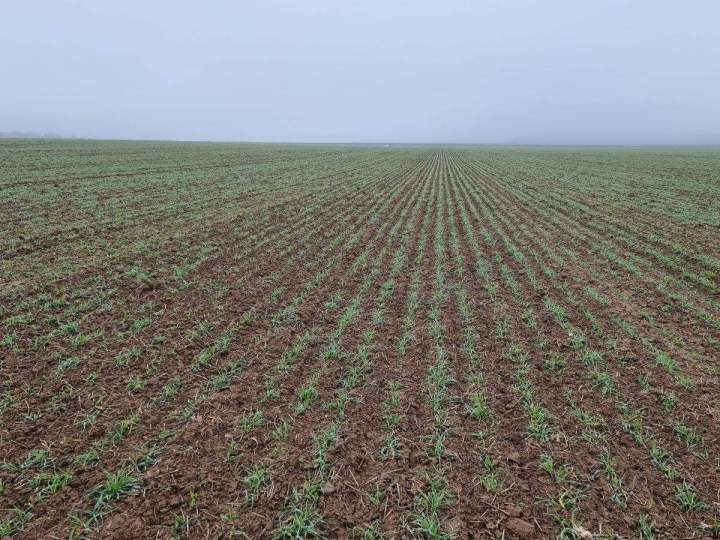 Fournisseur de couverts végétaux Bar-sur-Aube