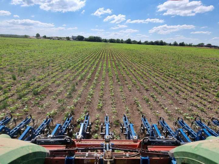 Service de binage Bar-sur-Aube