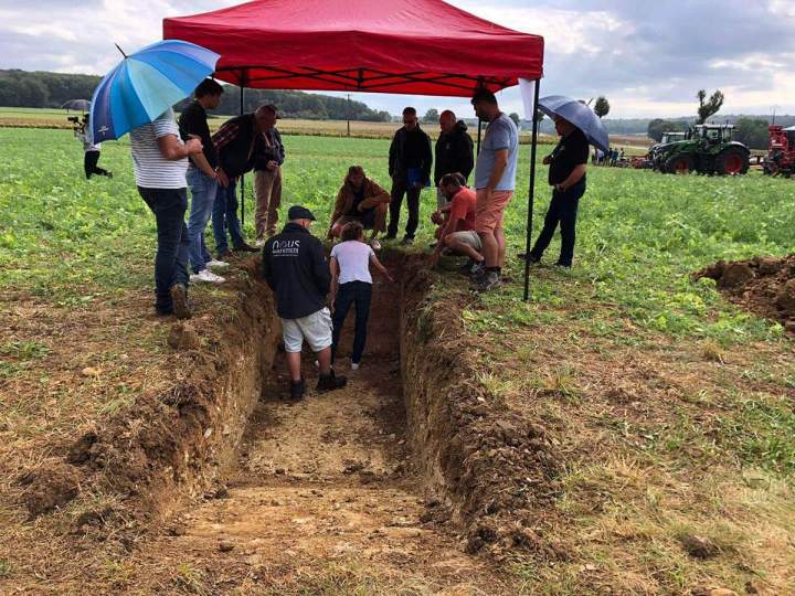 Réalisation de couverts végétaux Bar-sur-Aube