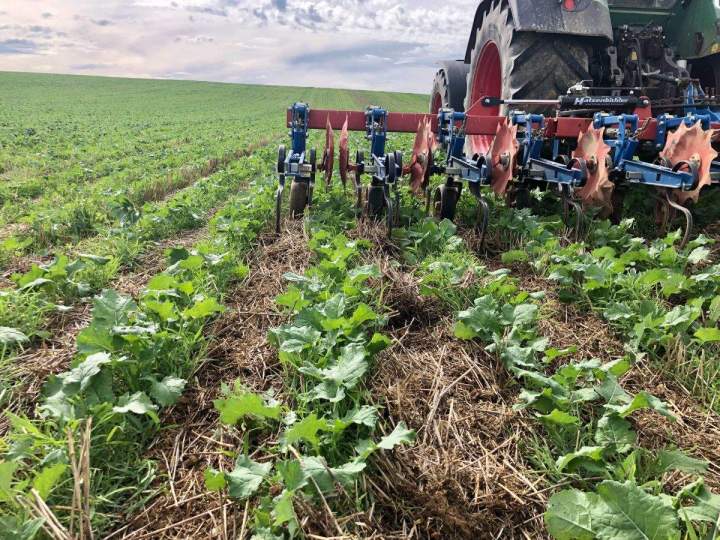 Fournisseur de couverts végétaux Bar-sur-Aube