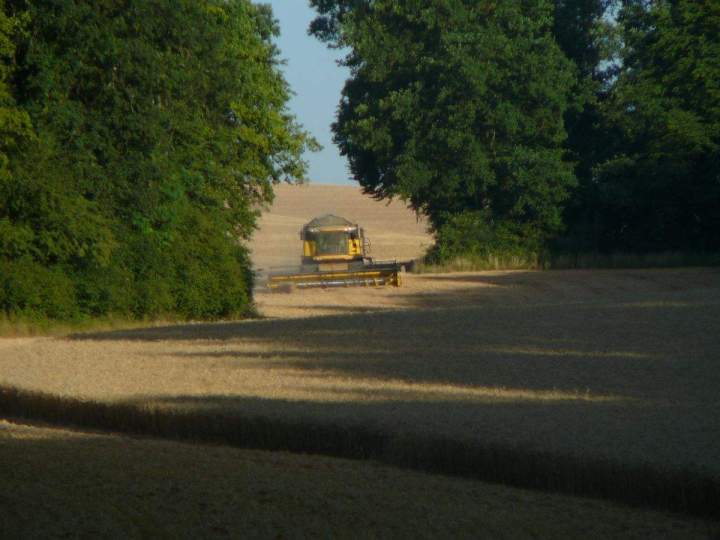 Spécialiste en pré-fauche des cultures Bar-sur-Aube