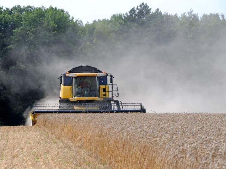 La pré-fauche de cultures pour booster vos rendements agricoles !